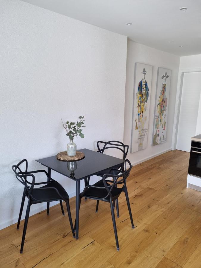 Ella'S Lounge - Besonders Geniessen Apartman Singen Kültér fotó